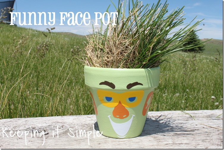 Funny Face Pot • Keeping it Simple